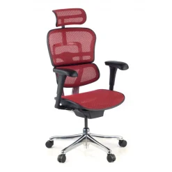 Sedia direzionale ergonomica Ergohuman Edition I, Struttura nera