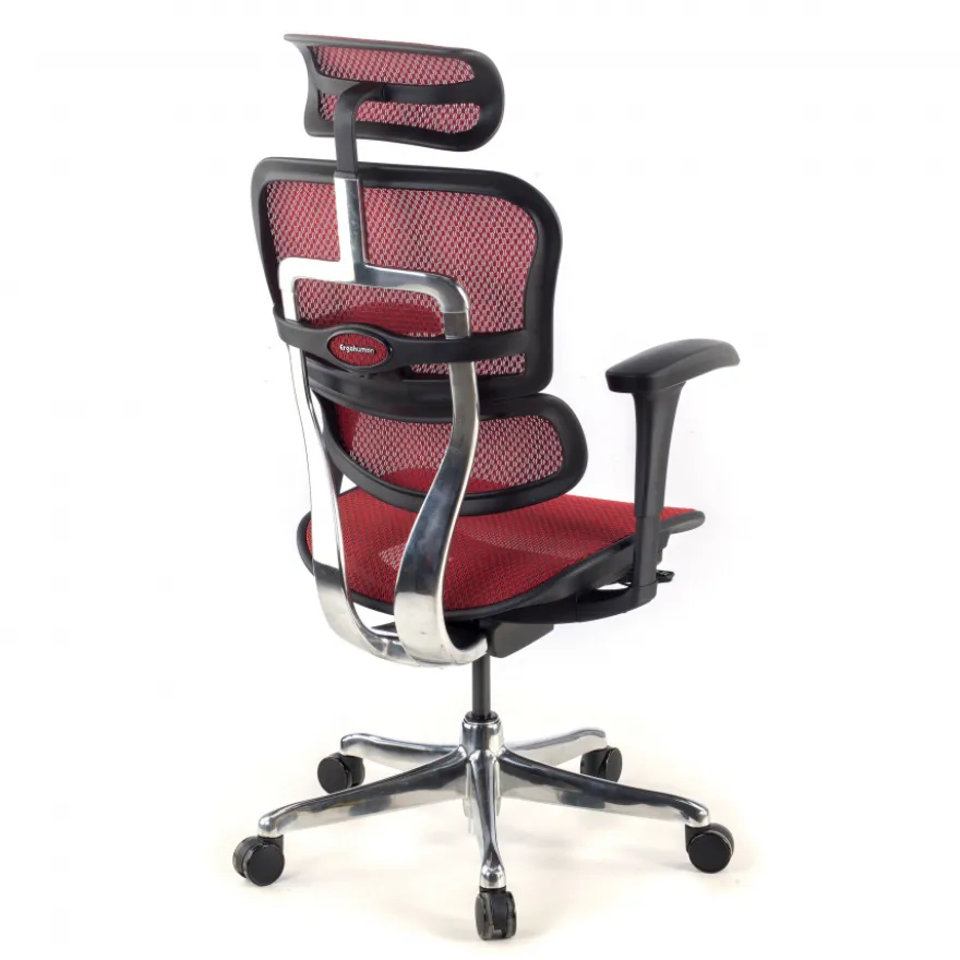 Sedia direzionale ergonomica Ergohuman Edition I, Struttura nera