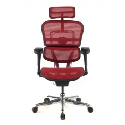 Sedia direzionale ergonomica Ergohuman Edition I, Struttura nera