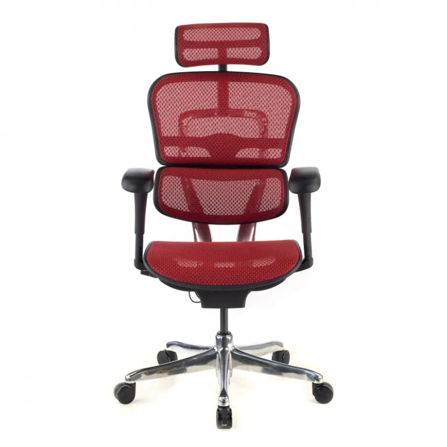 Sedia direzionale ergonomica Ergohuman Edition I, Struttura nera