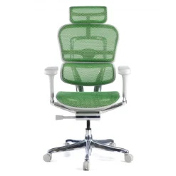 Sedia direzionale ergonomica Ergohuman Elite, Struttura bianca