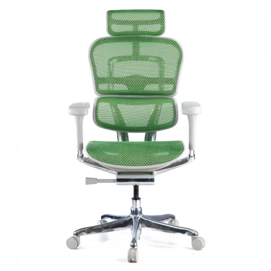 Sedia direzionale ergonomica Ergohuman Elite, Struttura bianca