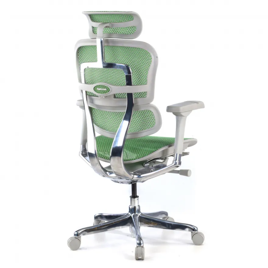 Sedia direzionale ergonomica Ergohuman Elite, Struttura bianca