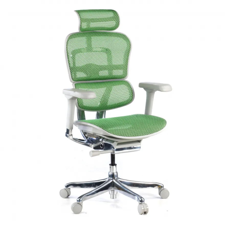 Sedia direzionale ergonomica Ergohuman Elite, Struttura bianca