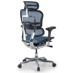 Sedia direzionale ergonomica Ergohuman Elite, Struttura nera