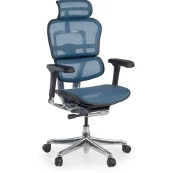 Sedia direzionale ergonomica Ergohuman Elite, Struttura nera