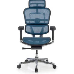 Sedia direzionale ergonomica Ergohuman Elite, Struttura nera
