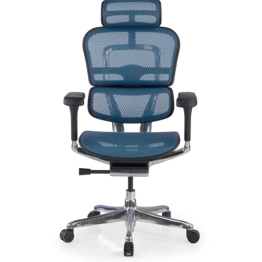 Sedia direzionale ergonomica Ergohuman Elite, Struttura nera