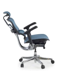 Sedia direzionale ergonomica Ergohuman Elite, Struttura nera
