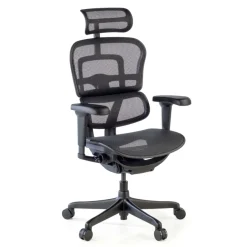 Sedia Ergohuman Ultra Black Carbon Edition