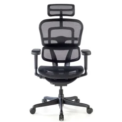 Sedia Ergohuman Ultra Black Carbon Edition