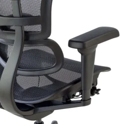 Sedia Ergohuman Ultra Black Carbon Edition