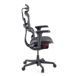 Sedia Ergohuman Ultra Gaming Edition Black Carbon