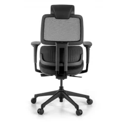 Sedia Ergonomica Bjorg, premium, doppio cuscino lombare