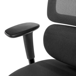Sedia Ergonomica Bjorg, premium, doppio cuscino lombare