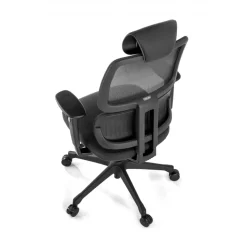 Sedia Ergonomica Bjorg, premium, doppio cuscino lombare