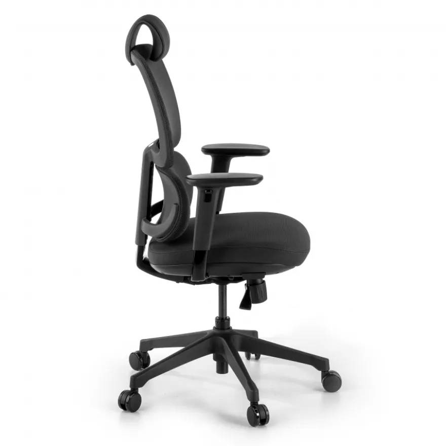 Sedia Ergonomica Bjorg, premium, doppio cuscino lombare