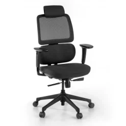 Sedia Ergonomica Bjorg, premium, doppio cuscino lombare