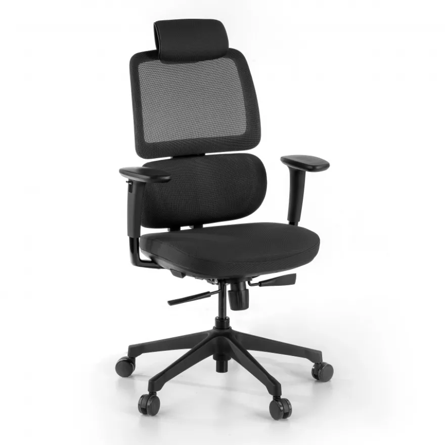 Sedia Ergonomica Bjorg, premium, doppio cuscino lombare