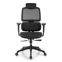 Sedia Ergonomica Bjorg, premium, doppio cuscino lombare