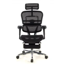 Sedia ergonomica con poggiapiedi Ergohuman Edition I, modello premium