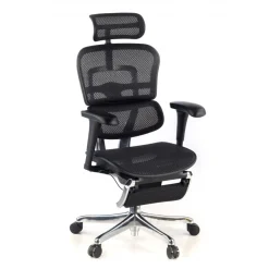 Sedia ergonomica con poggiapiedi Ergohuman Edition I, modello premium