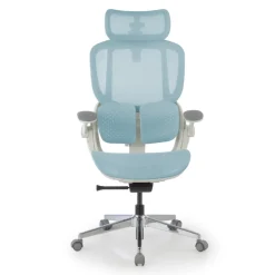 Sedia ergonomica con poggiatesta Erghos One, ortopedica, doppio supporto lombare