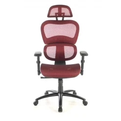 Sedia Ergonomica Ergocity, cuscino lombare, braccioli 3D