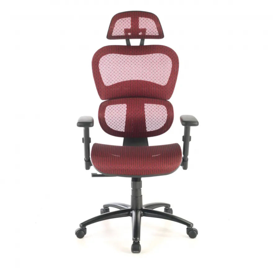 Sedia Ergonomica Ergocity, cuscino lombare, braccioli 3D