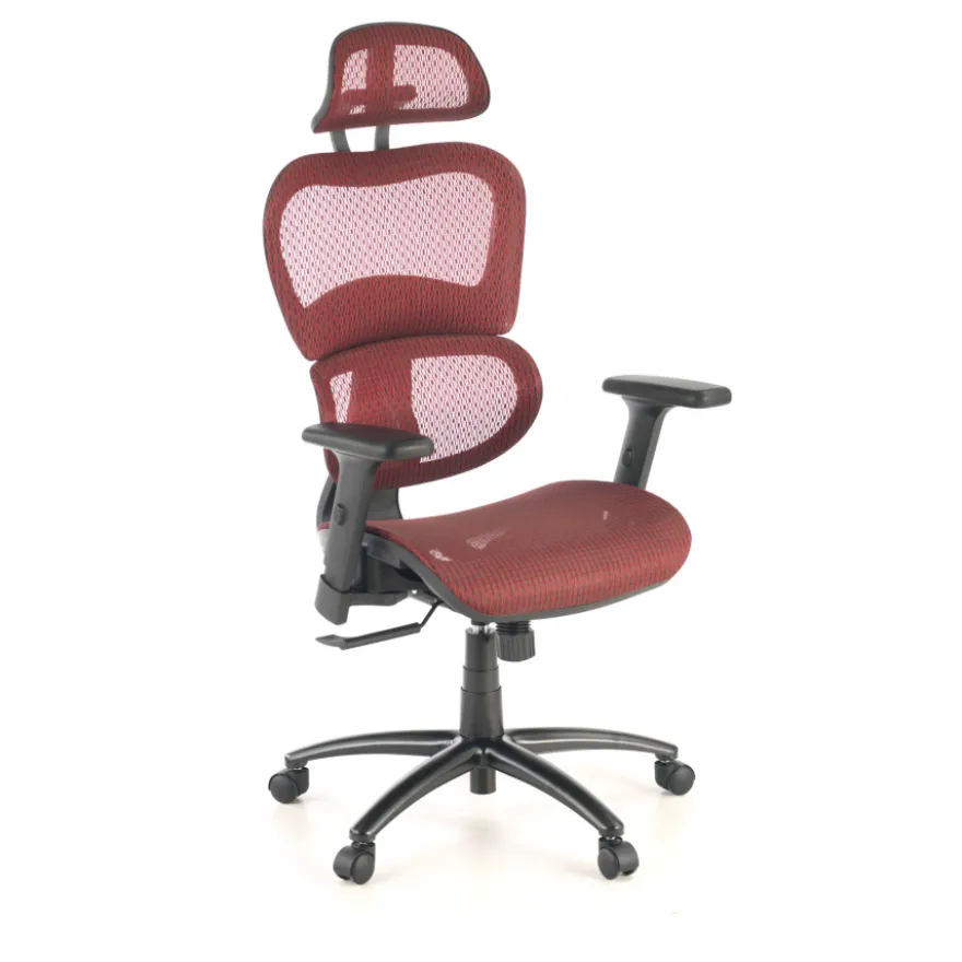 Sedia Ergonomica Ergocity, cuscino lombare, braccioli 3D