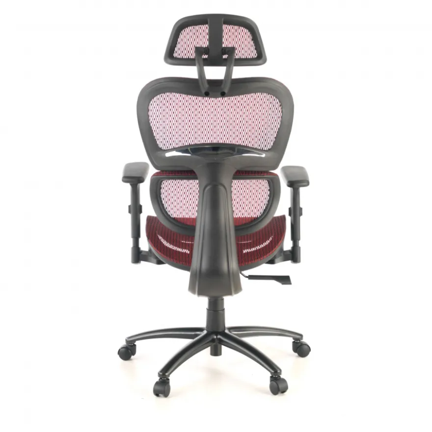 Sedia Ergonomica Ergocity, cuscino lombare, braccioli 3D