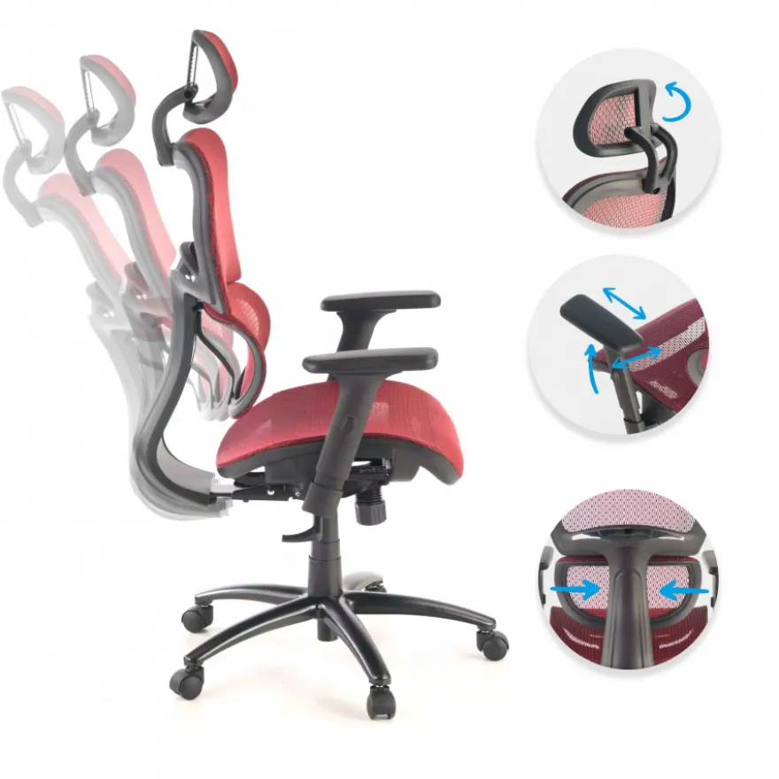 Sedia Ergonomica Ergocity, cuscino lombare, braccioli 3D