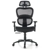 Sedia Ergonomica Ergocity, cuscino lombare, braccioli 3D