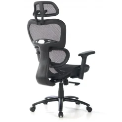 Sedia Ergonomica Ergocity, cuscino lombare, braccioli 3D