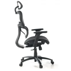 Sedia Ergonomica Ergocity, cuscino lombare, braccioli 3D