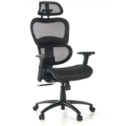 Sedia Ergonomica Ergocity, cuscino lombare, braccioli 3D