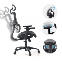 Sedia Ergonomica Ergocity, cuscino lombare, braccioli 3D