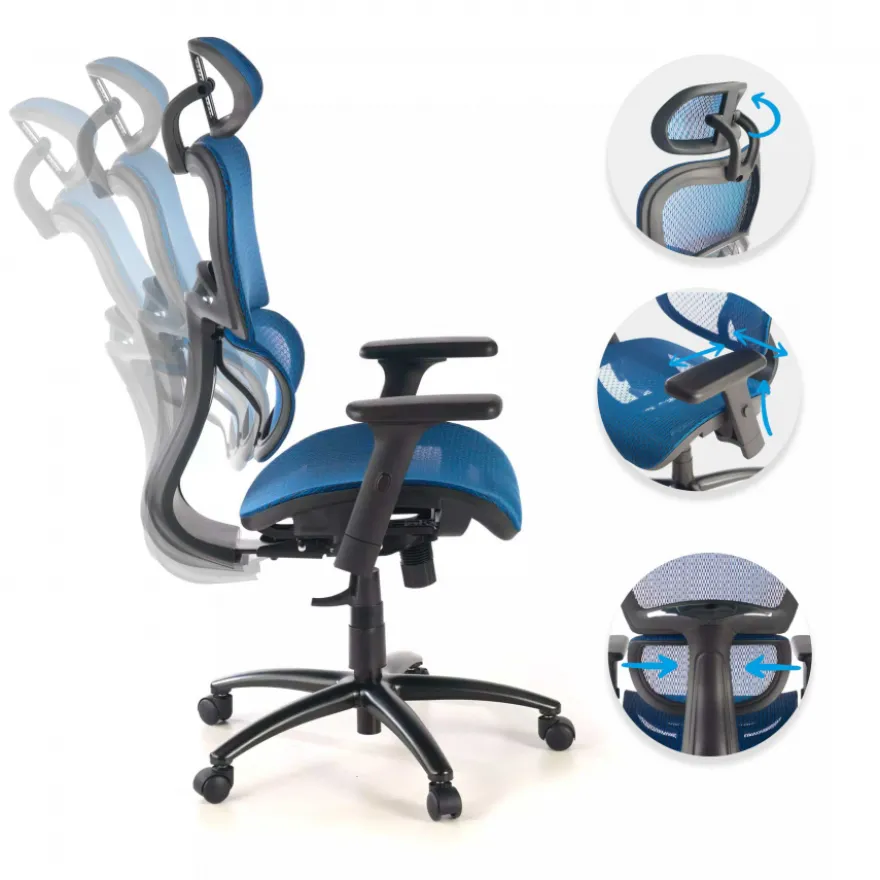 Sedia Ergonomica Ergocity, cuscino lombare, braccioli 3D