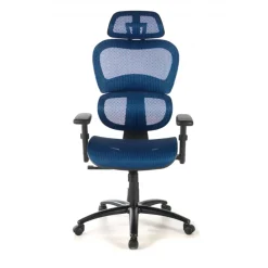 Sedia Ergonomica Ergocity, cuscino lombare, braccioli 3D