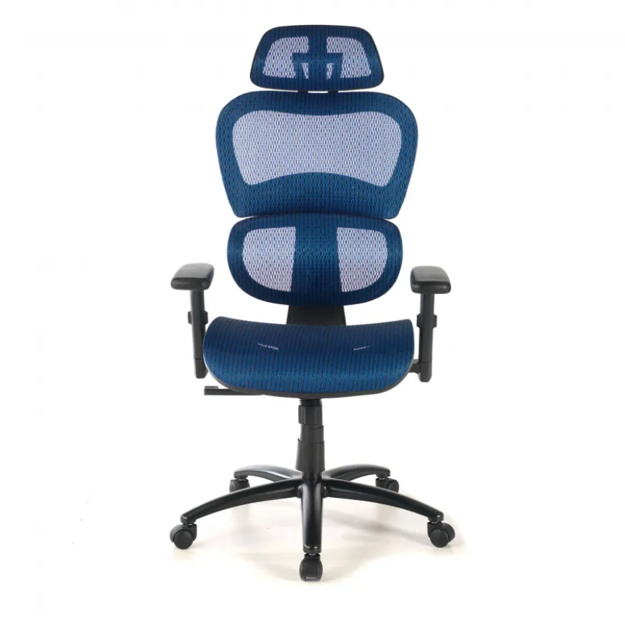 Sedia Ergonomica Ergocity, cuscino lombare, braccioli 3D