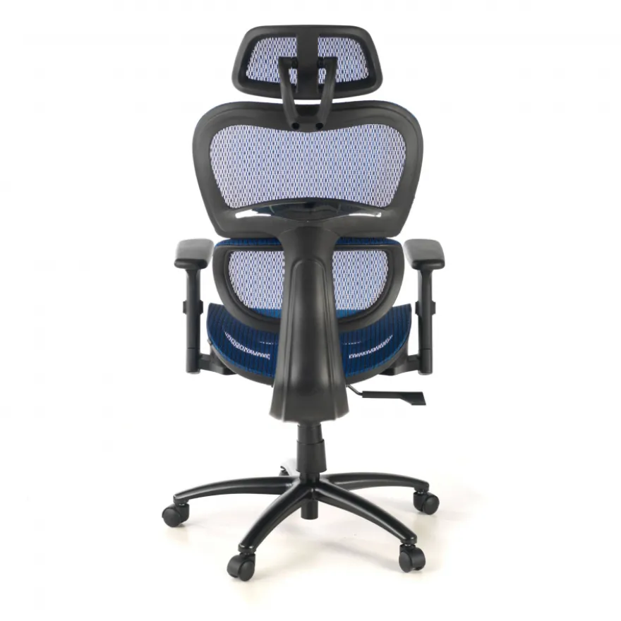 Sedia Ergonomica Ergocity, cuscino lombare, braccioli 3D