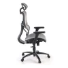 Sedia Ergonomica Ergocity, cuscino lombare, braccioli 3D