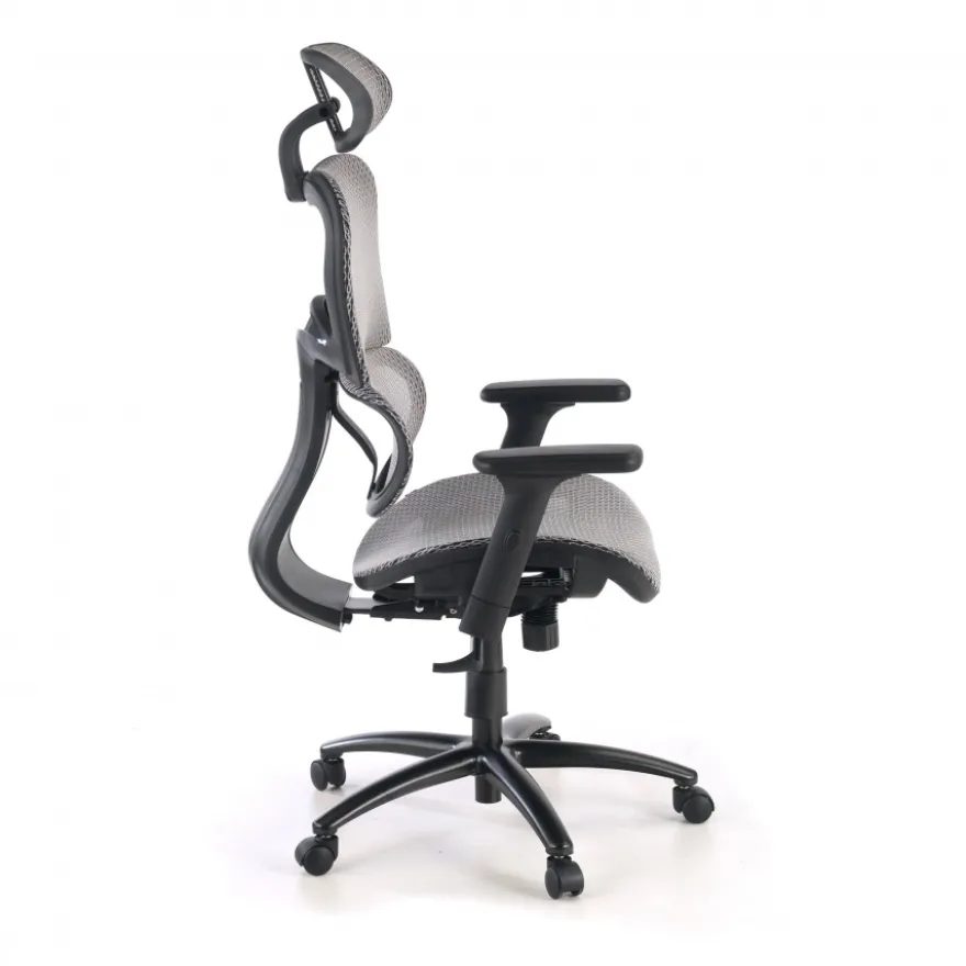 Sedia Ergonomica Ergocity, cuscino lombare, braccioli 3D