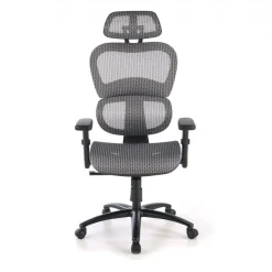 Sedia Ergonomica Ergocity, cuscino lombare, braccioli 3D