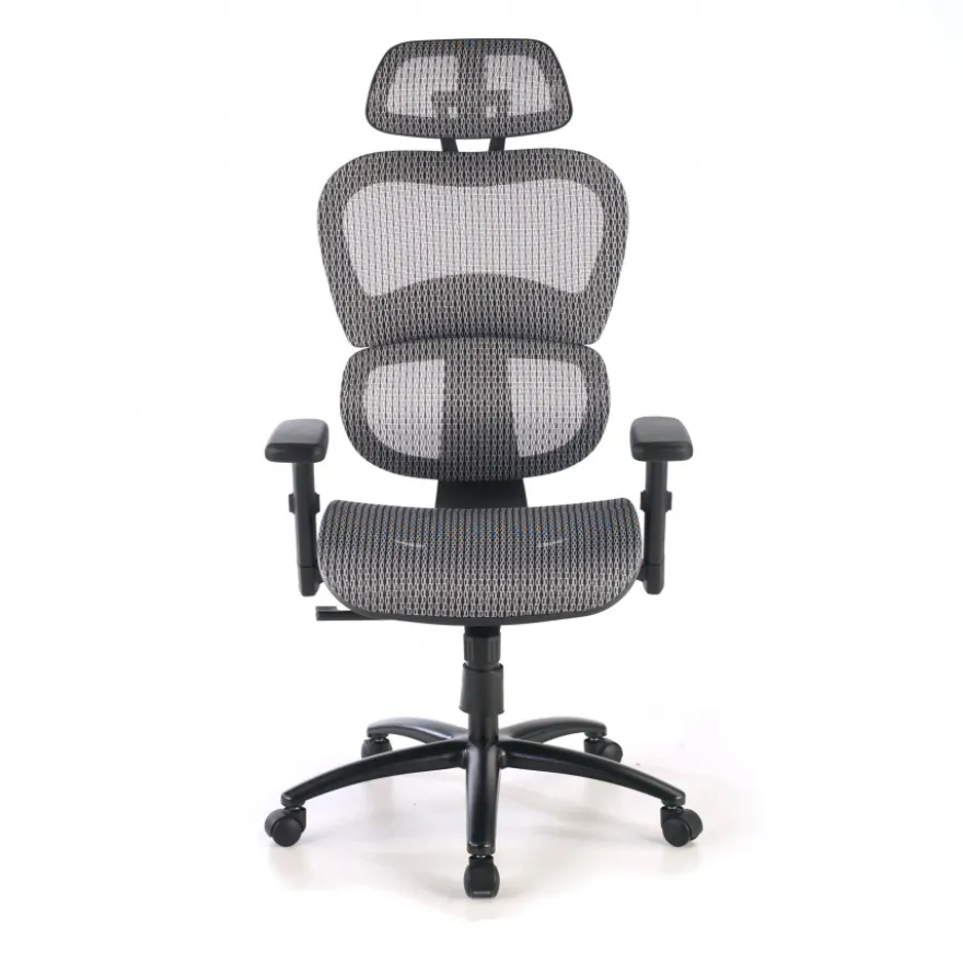 Sedia Ergonomica Ergocity, cuscino lombare, braccioli 3D