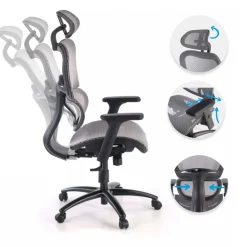 Sedia Ergonomica Ergocity, cuscino lombare, braccioli 3D