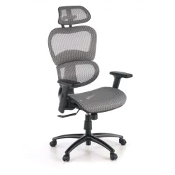 Sedia Ergonomica Ergocity, cuscino lombare, braccioli 3D