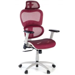 Sedia Ergonomica Ergocity white cuscino lombare, braccioli 3D
