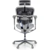 Sedia Ergonomica Ergohuman Elite, pelle naturale