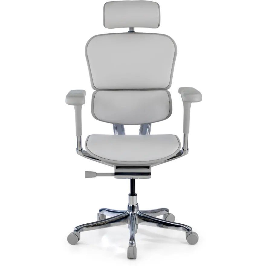 Sedia Ergonomica Ergohuman Elite, pelle naturale